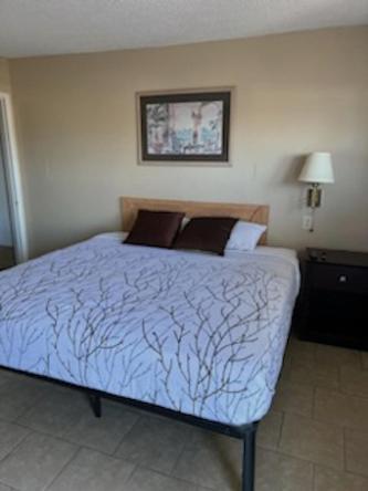 Budget Inn Decatur Priceville Esterno foto